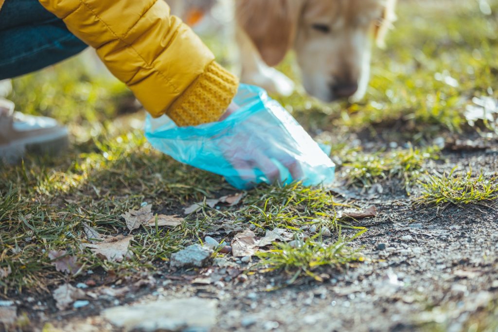 Pet waste removal services for senior citizens in Harrisonburg VA: Safe, reliable poop scooping for seniors. Let us do the bagging for you!