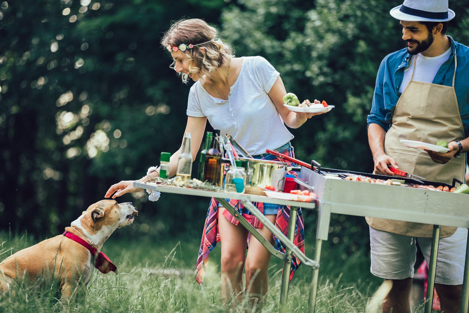 Woman petting dog at backyard barbecue