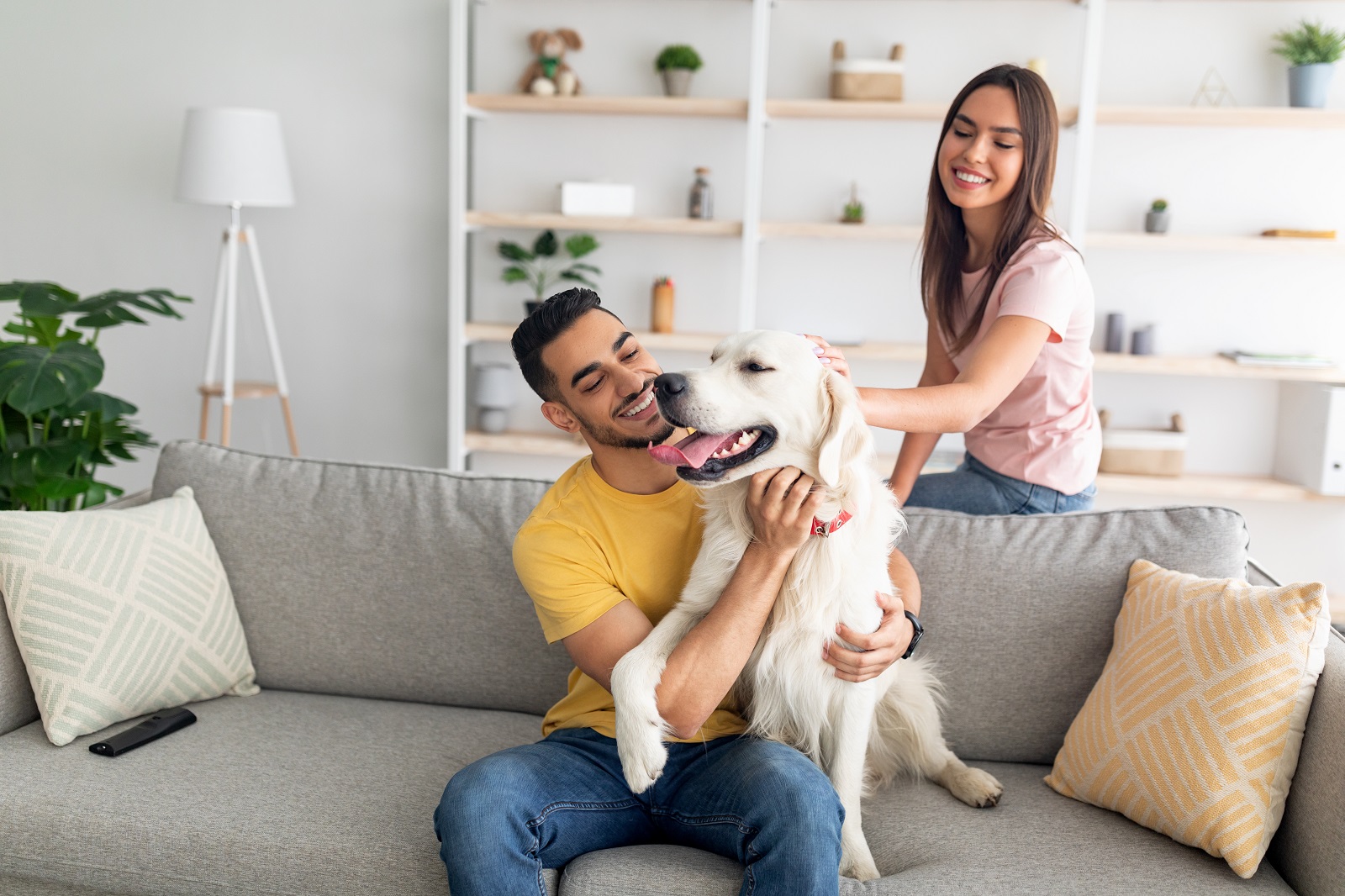 Dog with couple in apartment