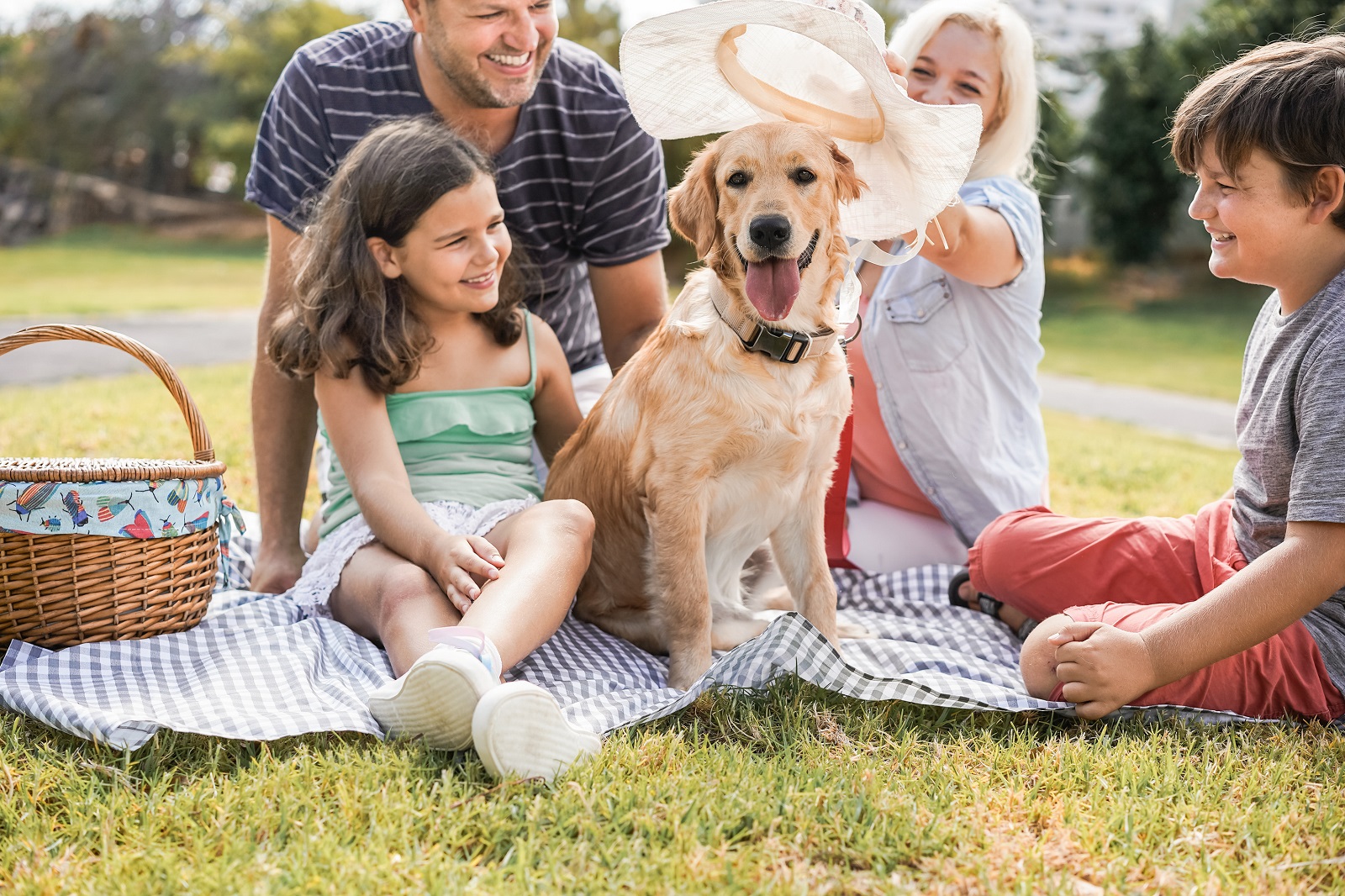 Family in park with dog enjoying a picnic