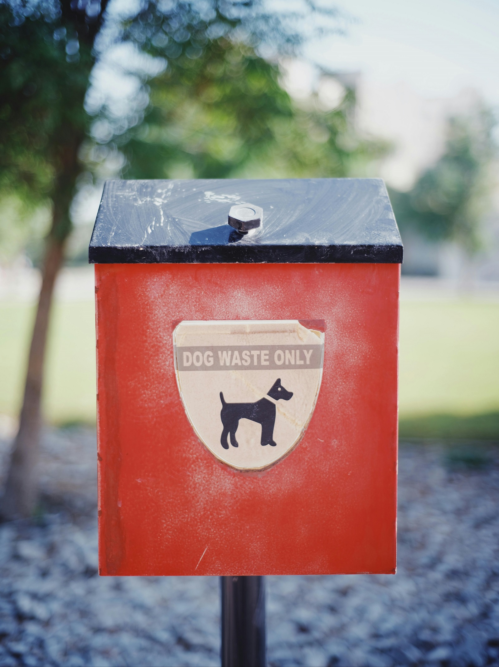 A dog waste collection station